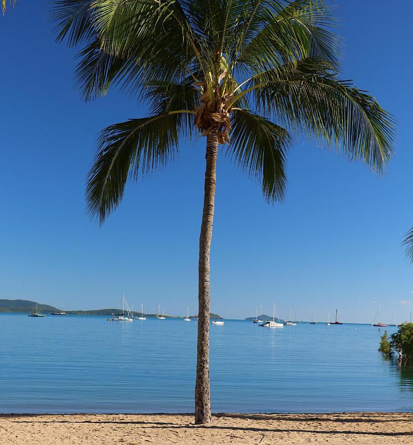 Ocean Views At Whitsunday Terraces Resort Airlie Beach Exterior photo