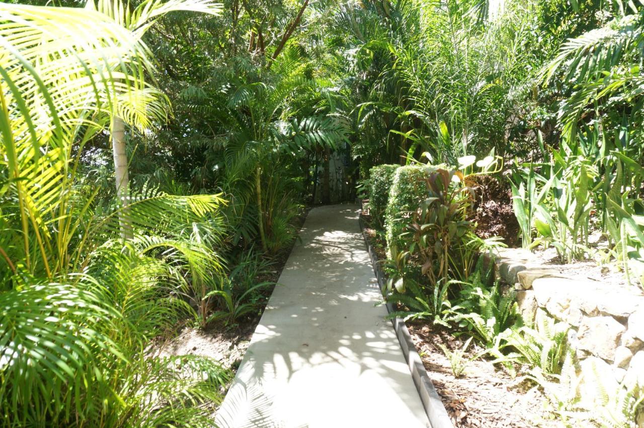 Ocean Views At Whitsunday Terraces Resort Airlie Beach Exterior photo